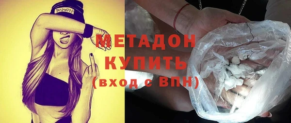 прущие грибы Лабытнанги