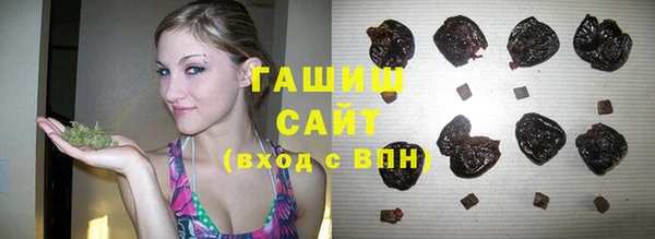 прущие грибы Лабытнанги