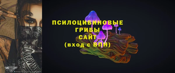 прущие грибы Лабытнанги
