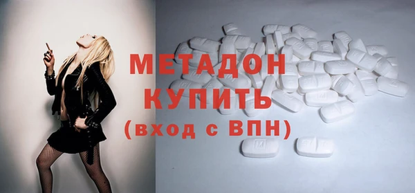 прущие грибы Лабытнанги