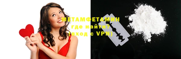 прущие грибы Лабытнанги