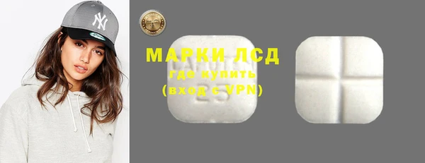 прущие грибы Лабытнанги