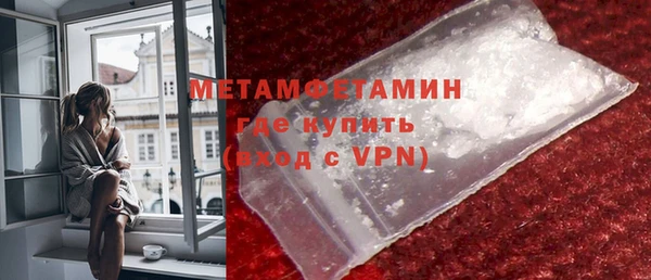 прущие грибы Лабытнанги