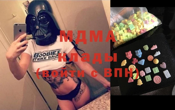 прущие грибы Лабытнанги