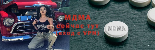 прущие грибы Лабытнанги