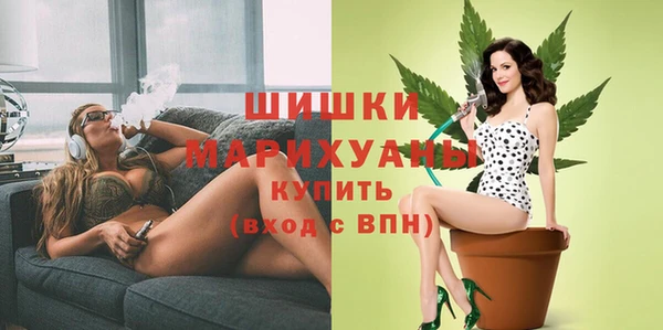 прущие грибы Лабытнанги