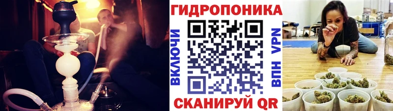 Бошки Шишки THC 21%  ОМГ ОМГ как войти  Усмань 
